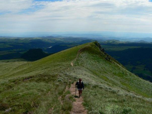 Nid Sous Le Volcan Saint-Sandoux Eksteriør billede
